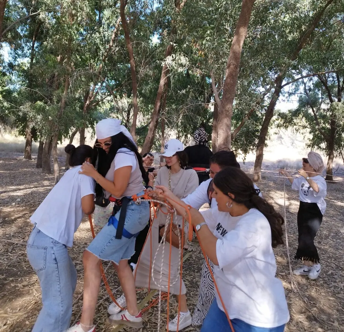 תמונה 6 של קינדו can do it